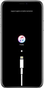 1747123942 iphone8 later models.jpg