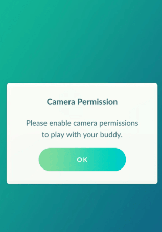 Camera permission issues.png