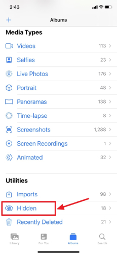 隠された写真iPhoneを見つけます