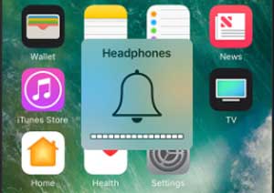 iPhoneがヘッドフォンモードであることを確認してください