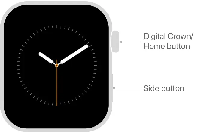   Apple Watchを再起動します
