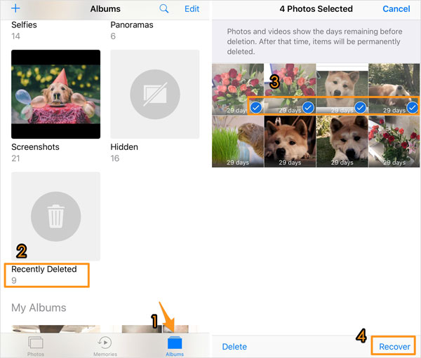 最近削除されたフォルダーからiPadで削除された写真を見つける方法