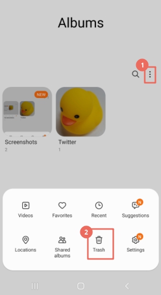 Google Photo Grashから回復します