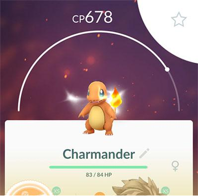 精製ポケモン