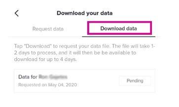 Request tiktok data.jpg