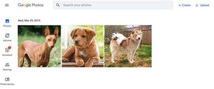 GoogleフォトでOnePlusから削除されたファイルを回復する方法